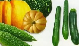 青运会吃瓜,揭秘赛场背后的趣味瞬间”