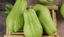 佛手瓜和什么菜能一起吃,探寻健康美食新境界