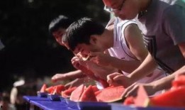 宾馆吃瓜群众,揭秘酒店八卦风云