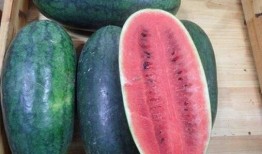 吃瓜爆黑,吃瓜爆黑，真相大白