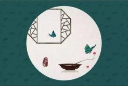 绕口令老鼠吃瓜,老鼠吃瓜的俏皮瞬间