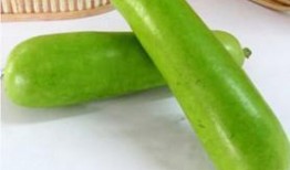 夏天吃瓠瓜,瓠瓜美食之旅