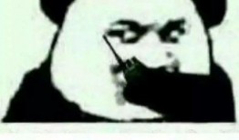 青你吃瓜资源,揭秘偶像幕后那些事儿