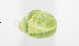 吃瓜网站图片,揭秘吃瓜网站热门图片背后的故事