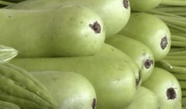 吃葫芦瓜拉肚子,揭秘拉肚子背后的真相