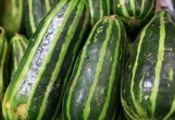 减肥吃梢瓜,天然低脂美食，轻松享瘦生活