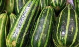 减肥吃梢瓜,天然低脂美食，轻松享瘦生活