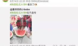 各大高校吃瓜网站,揭秘各大校园吃瓜网站热门事件盘点