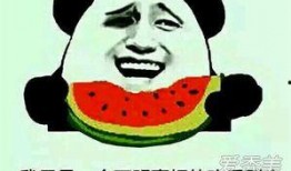 吃瓜吃烂了是什么意思,网络流行语的深层含义与趣味解读