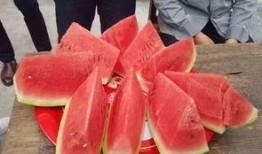 天涯社区吃瓜,揭秘网络舆论场的狂欢与争议