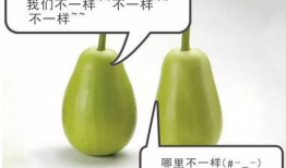 安理工吃瓜,揭秘校园热点背后的真相