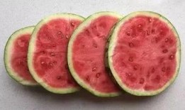 终于可以回家吃瓜,畅享家乡美味瓜果时光