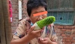 贾婆婆吃瓜全集,揭秘娱乐圈背后的秘密与笑料