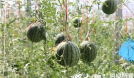 五一最新吃瓜地址,揭秘热门事件幕后真相