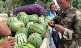 金昌吃瓜视频,揭秘当地美食文化盛宴