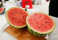 全国吃瓜看热闹,全民娱乐时代的众生相