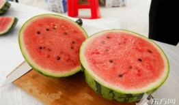 全国吃瓜看热闹,全民娱乐时代的众生相