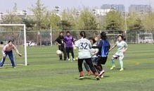 兵乓吃瓜,吃瓜群众眼中的精彩瞬间