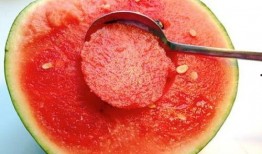 吃西瓜蜜瓜勺子,西瓜蜜瓜勺子的甜蜜之旅