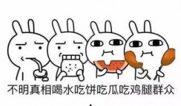 教练吃瓜,揭秘体育圈背后的趣味故事