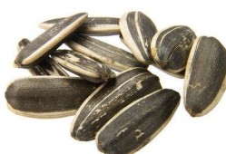 瓜吃瓜子神器,轻松享受夏日美味新体验