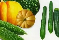 天舒吃瓜爆料,娱乐圈最新猛料大揭秘