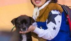 吃瓜主播kimi,娱乐界的“瓜王”传奇