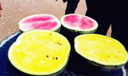 爆料吃瓜产品,吃瓜产品背后的秘密大曝光！