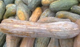 外皮可以吃的瓜,揭秘可食用外皮瓜类美食