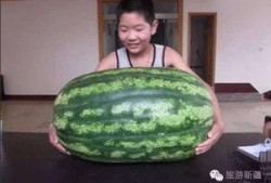 吃瓜的年纪不甜,吃瓜者的甜蜜成长历程