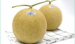 孩子高烧可以吃哈密瓜吗