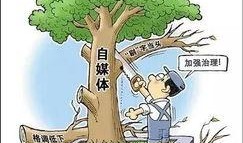 自媒体误导吃瓜,真相与反思