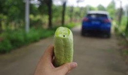 吃瓜不忘改良人,从娱乐中汲取生活智慧