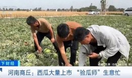 春运吃瓜的图片,趣味横生的回家路