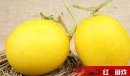 吃瓜后喉咙难受,如何缓解与预防