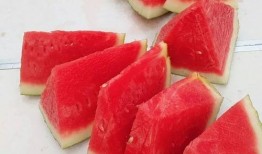 南汇吃瓜大赛,一场吃瓜大赛的欢乐盛宴