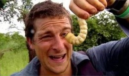 吃瓜群9055104,一场全民参与的娱乐盛宴