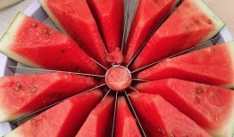 南汇吃瓜大赛,一场吃瓜大赛的欢乐盛宴