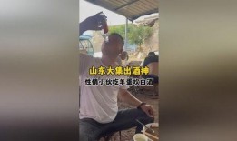 山东小伙吃瓜视频,一场接地气的乡村美食盛宴