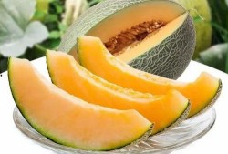 瓜州有瓜吃吗,游客尽享丰收美味