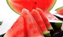 吃瓜麒麟图片大全高清,探寻神秘生物的奇幻世界