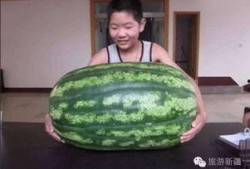 白色玉瓜怎么吃最好,解锁美味新境界