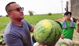 亚伯 吃瓜,亚伯的瓜田奇遇记