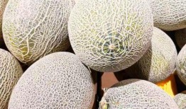 吃蜜瓜看影视,甜蜜滋味中的光影之旅