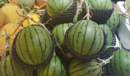 武船吃瓜,揭秘我国海军舰艇的“美食”生活