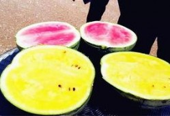 缅甸吃瓜爆料,吃瓜爆料揭秘幕后真相