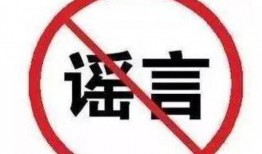 加油吃瓜群众直播,揭秘“加油吃瓜群众”的火爆现场