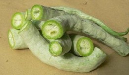 怀孕可以吃蛇瓜,蛇瓜的营养与食用指南