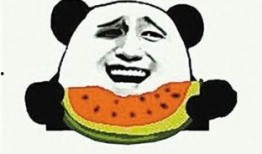 吃瓜社会旺柴,揭秘网络舆论背后的狂欢与反思