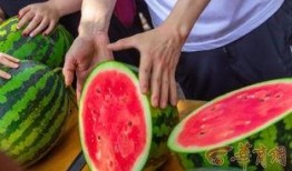 巢湖学院吃瓜,吃瓜群众揭秘校园热点事件